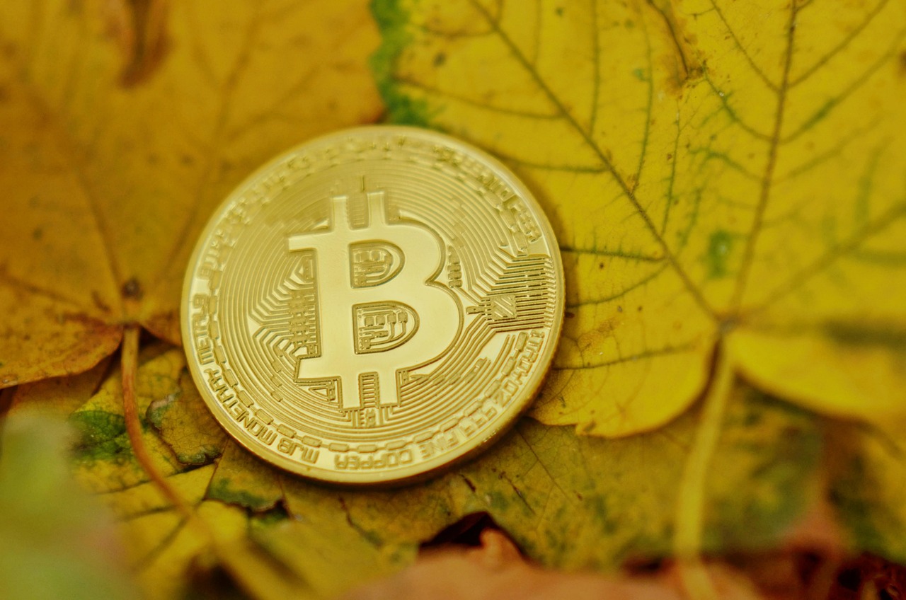 Semler Scientific拟筹资5亿美元购买比特币！向Coinbase借款支付罚款
